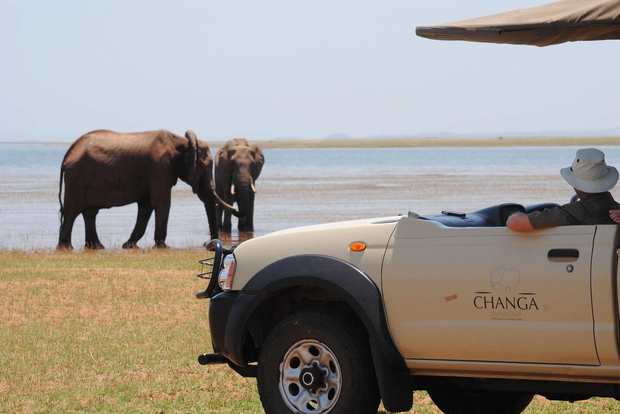 Changa Safari Camp Matusadona National Park Экстерьер фото